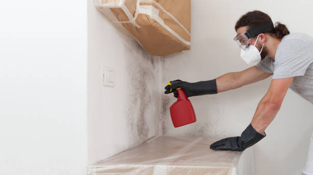 Professional Mold Cleanup technician working in Burlington, NC