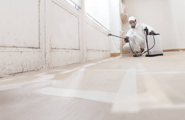 24/7 Emergency Mold Cleanup experts in Burlington, NC
