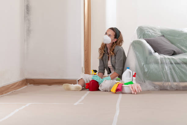 Reliable Mold Cleanup contractor in Burlington, NC by WQB Mold Removal